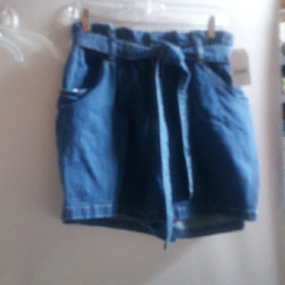 Pape Bag Waist Time and Tru Blue Women Shorts